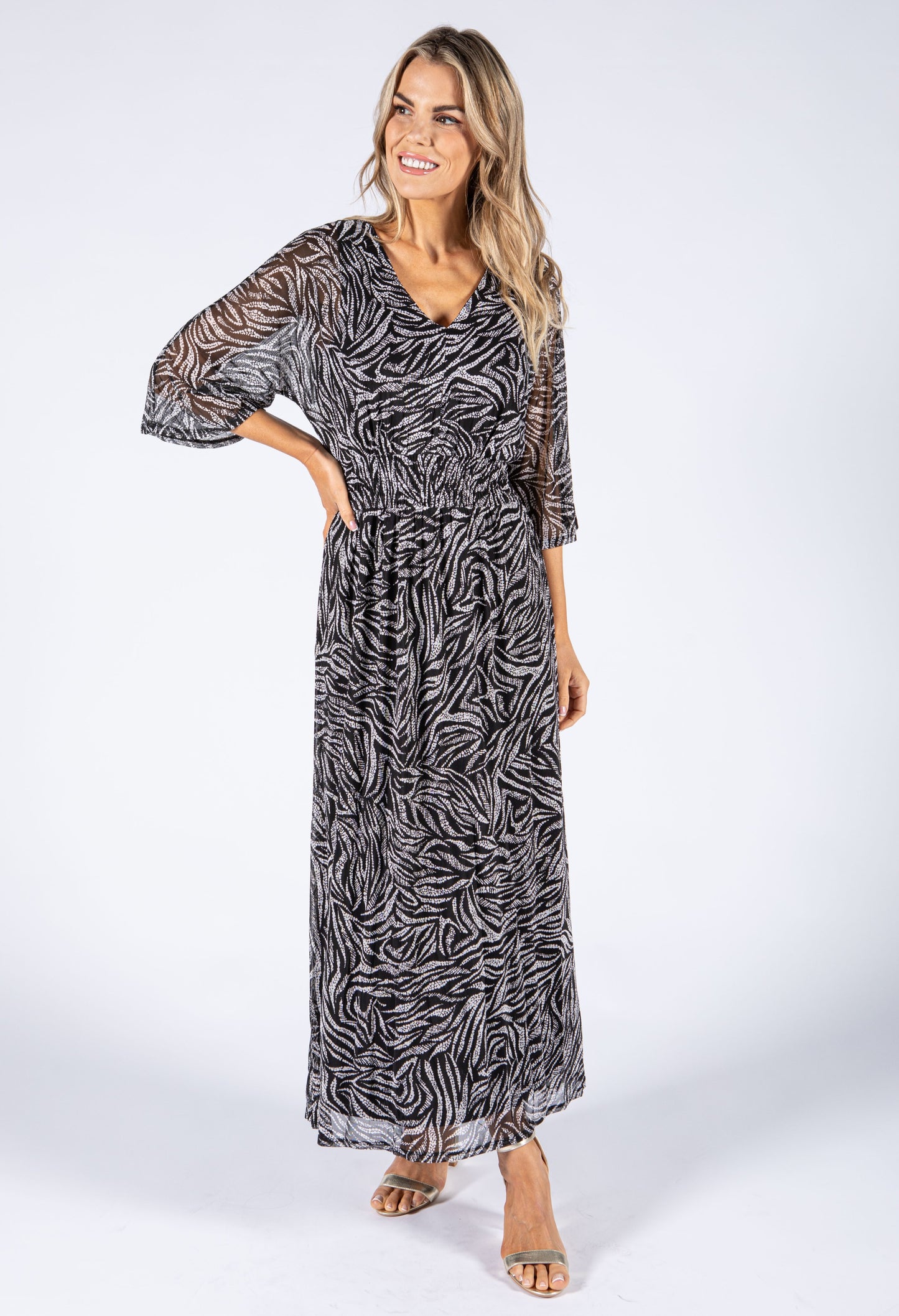 V Neckline Mesh Maxi Dress