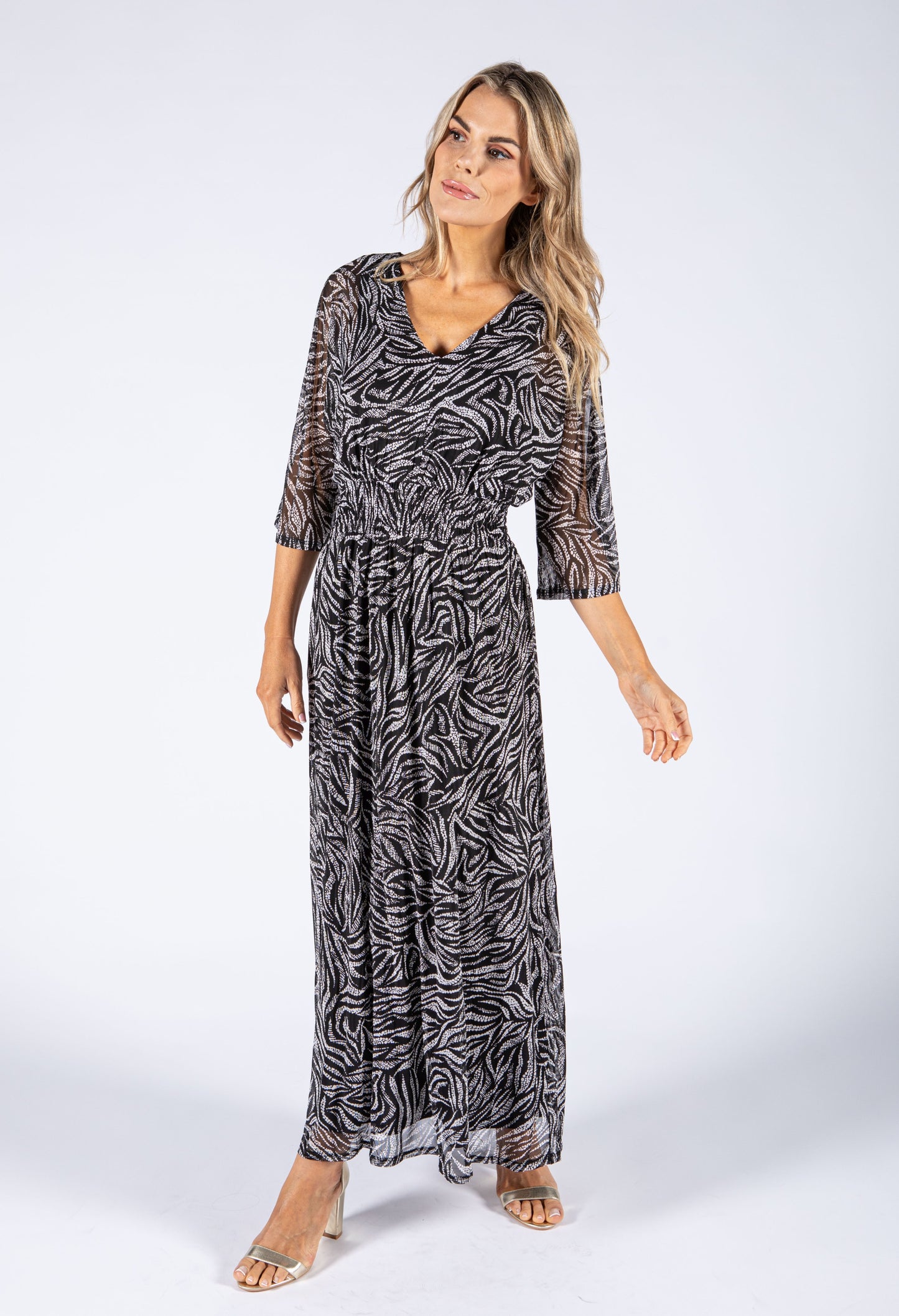 V Neckline Mesh Maxi Dress