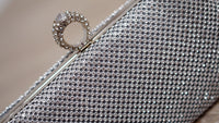 Silver Chain Mail Clutch