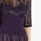 Plum Drop Waist Dress with Lace Top