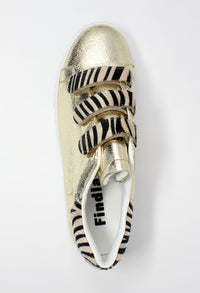 Gold Trainer with Zebra Velcro Straps