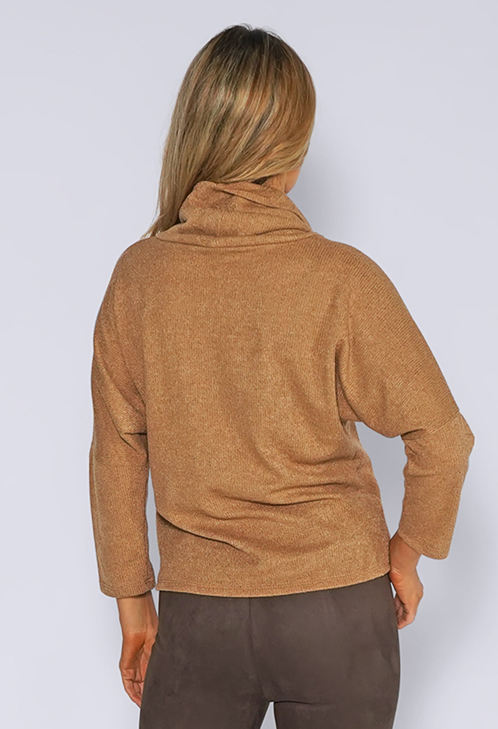 Camel High Rolled Neck Knit Top