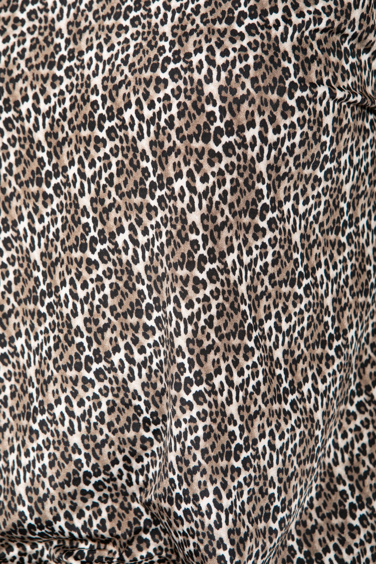 Leopard Print Long Sleeve Top