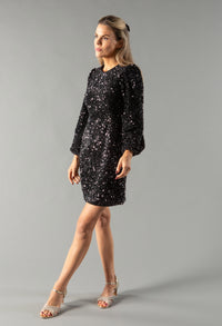 Velvet Sequin Dress