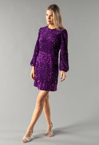 Velvet Sequin Dress