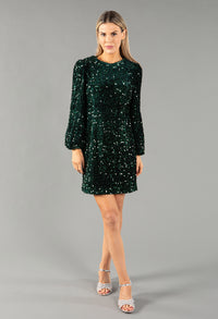 Velvet Sequin Dress