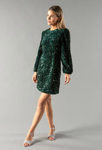 Velvet Sequin Dress