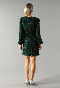 Velvet Sequin Dress