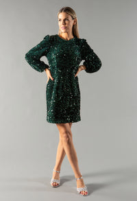 Velvet Sequin Dress