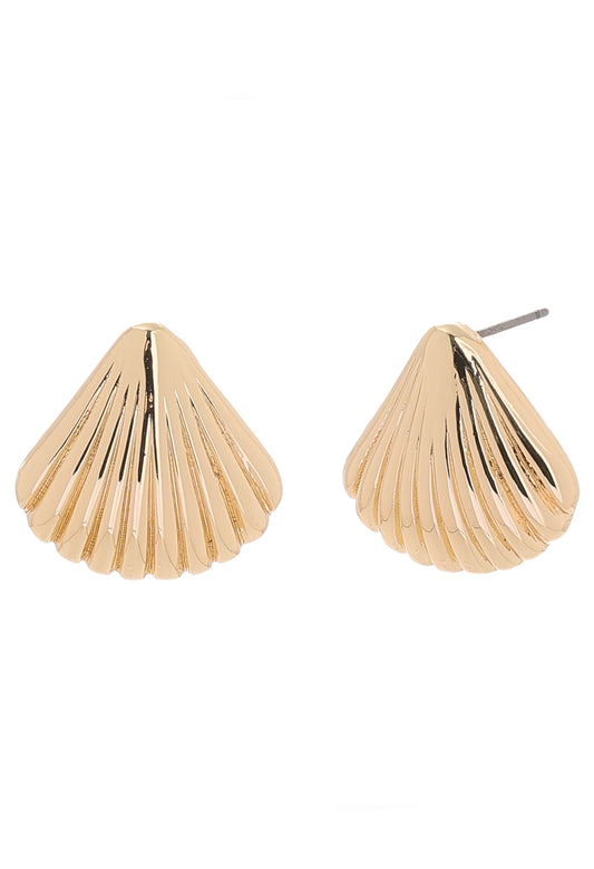 Shell Stud Earrings